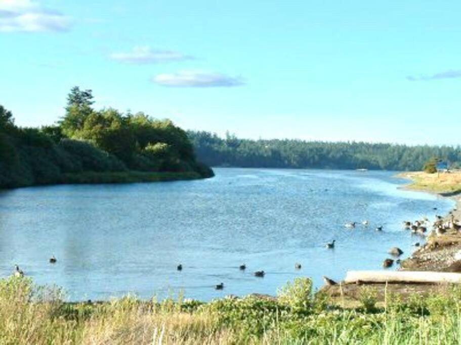 Appartamento Esquimalt Lagoon Life Victoria Esterno foto